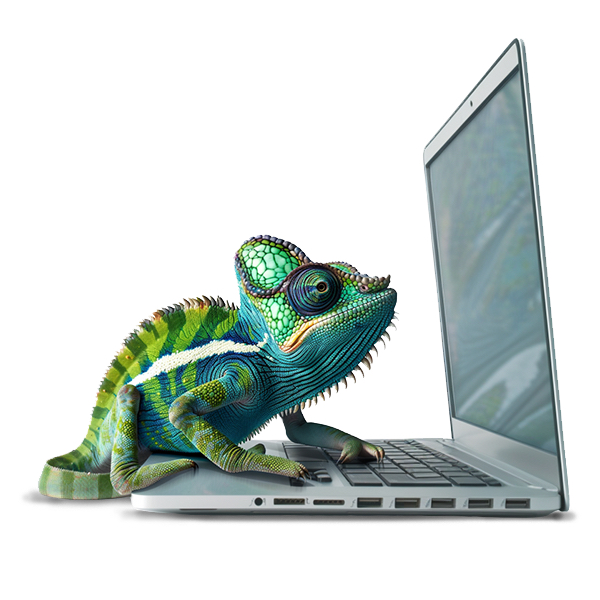 What is a Green VPN?
